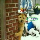 복 이미지