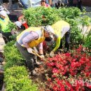 청파동주민센터 이미지