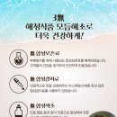 태양식품 이미지