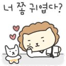 해솔태권도 이미지