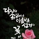 김지우포토그래피 네이버블로그