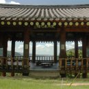 동동동심원 Daum카페