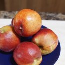 세진유통경산점 | 온누리팔도시장 세진이네과일 천도복숭아 넘 신선해