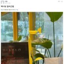 타임다방 이미지