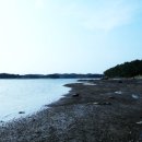 안녕비토 이미지