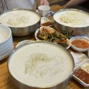 제일고삼거리 | 대전 콩국수 맛집 도마동 양평칼국수 내돈내산 솔직 후기