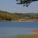 맑고 향기롭게 이미지