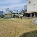 하단동1234 이미지