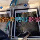 오늘은향어 이미지