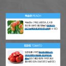 온누리013