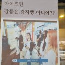 강릉감자빵