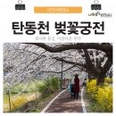 탄동천-1 이미지