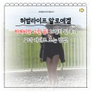 신명인터네셔널 | 허벌라이프 알로에겔 | 하체비만 고민 끝! 26인치 된 후기 &amp; 효과 제대로 보는 방법