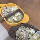 얼라맘마 아기된장_쌍둥이 유아식 저염된장은 얼라맘마로 정착