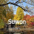 효원유치원 | 수원 단풍 명소 효원공원 월화원 주차 위치 포토존