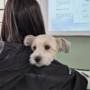 전운학 | 11월블로그, 온세상을놀라게하다