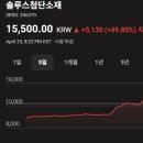 뷰티코스메틱 태양광발전소 | 코스피 주가현황 주가시세 주가분석 요약 (2025년 4월 21일)-(2)