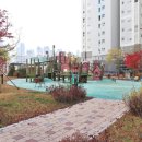 가온아리 이미지