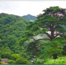 실상사안내소 이미지