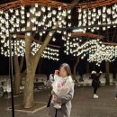 하트찹쌀꽈베기 | 하루모음집 25.01 | 잘 살아보자 ♡