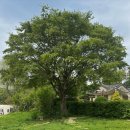 7264 | 나의 혼인 로망을 이루다_근화원[고민의 과정, 예약 후기]