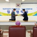 장승포마을관리 사회적협동조합 이미지