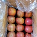 유석농장 이미지