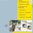 보보스링크노동조합 | w [엽서형청첩장] 아워포시즌 : 가성비 업체 (+모바일청첩장 • 식권등) 찐추천후기 - 제작과정
