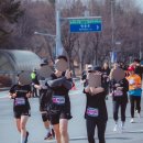 (주)엘리트 티 앤에스 | 마라톤 후기 : 인천국제하프마라톤 2026, 인생 첫 하프마라톤