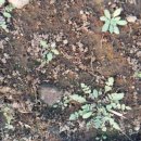 장재골농장 이미지