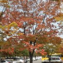 서대문노인종합복지관 이미지