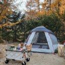 유식물원 관광농원 | [애견동반캠핑] 지금까지 다녀온 반려견동반 캠핑장 리스트