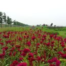 한강 자전거도로8 이미지