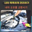 딥모터스 이미지
