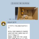 시골농부 타이벡 귤 리얼 후기 ㅣ 폭삭 속았쑤다
