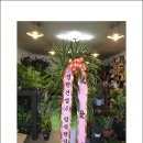 (주)해피나무 이미지