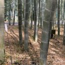 놀숲농원 이미지