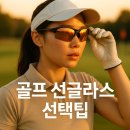 서브스포츠 | 골프 선글라스 렌즈 고르는 팁, 가을 필드 라운딩 스포츠 고글 후기