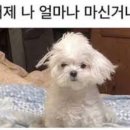 요리하는술집 - 안양시 만안구 | 요리하는술집