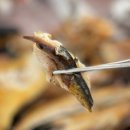 회랑 생선구이랑 | [경남 거제도] 오션뷰 생선구이 맛집 회랑구이랑(거제 소노캄 맛집)