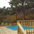 꿈이익는뜨락 이미지