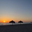 다인 행정사사무소 이미지