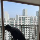 송학리젠시빌 이미지