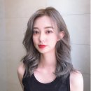 애쉬그레이 카카오 검색결과