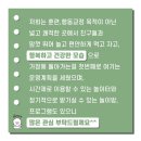의정부 애견호텔 SM펫살롱 | 의정부애견호텔 / 애견유치원 SM펫살롱