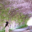 오창초 가좌분교 이미지