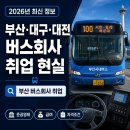 부산지역버스노동조합 | 부산·대구·대전 버스회사 취업 현실 (2026년 최신 정리)