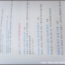 바닷가돌빌레 이미지