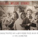 농업노동자의 아버지 세사르 차베스 이미지