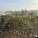 지우농원 이미지